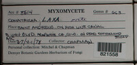 Image Associated With the Occurence